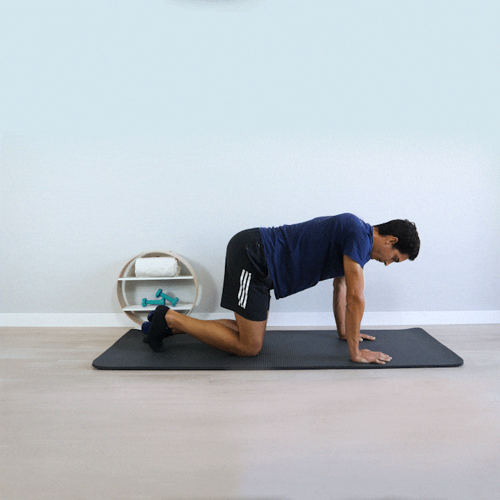 Extension Cadera y Elevacion Brazo Ejercicio