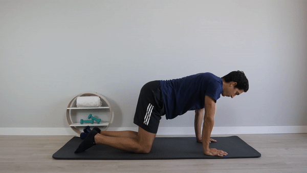 FLexion lumbar cuadrupedia