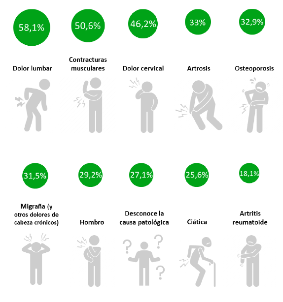 Causas de dolor cronico en espana