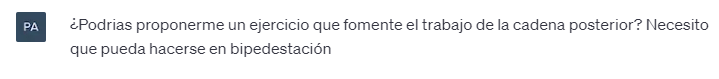 Ejemplo de ejercicio para la cadena posterior, sugerido por ChatGPT, como parte de programas de ejercicios de fisioterapia