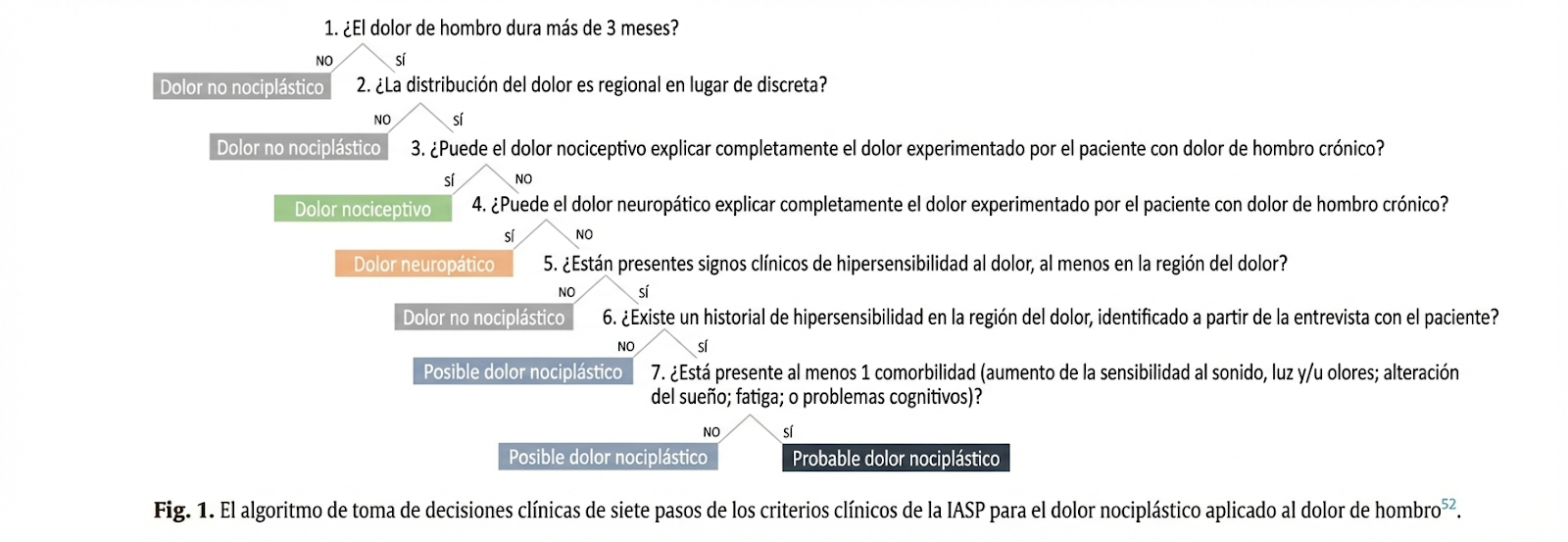 Algoritmo de decisión de la IASP en español