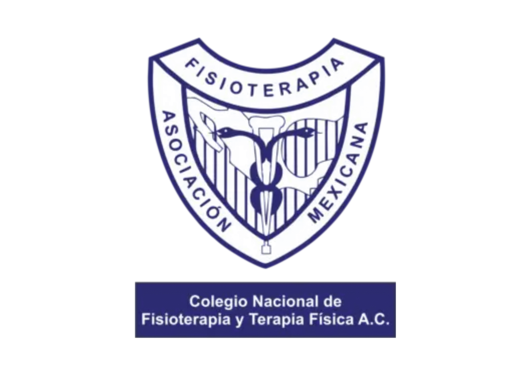 Colegio Nacional de Fisioterapia y Terapia Física México