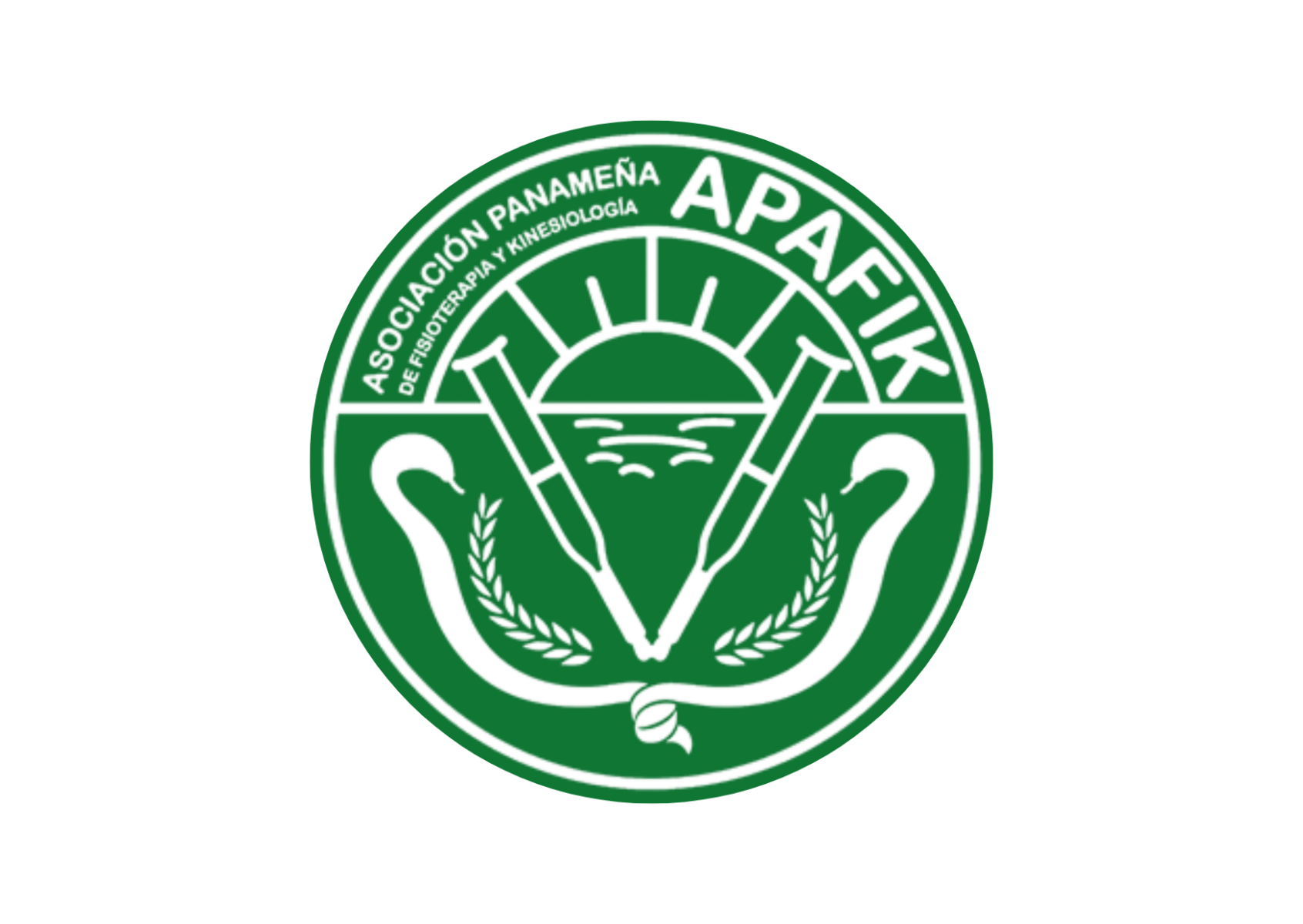 ASOCIACIÓN PANAMEÑA DE FISIOTERAPIA Y/O KINESIOLOGÍA